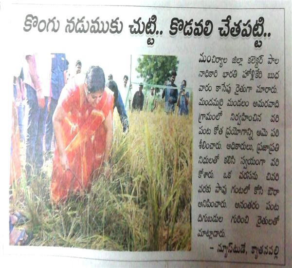 Mancherial District                                                                                                                                                                                                                                        - Crop Cutting Expts.,                                                                                                                                   - PMFBY Paddy Crop Cutting Expts Visit to Hon,ble District Collector, Mancherial	                                                                                                                                                                                 - dt.04/12/2019          